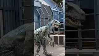 JURASSIC WORLD: ANGRY BLUE!!! Universal Studios Hollywood || Big Brother Journey