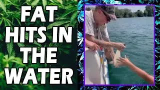 WEED MEMES & Fail Compilation [#232] - Fatally Stoned