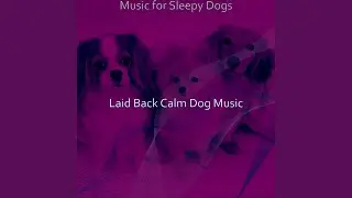 Retro Calming Dogs
