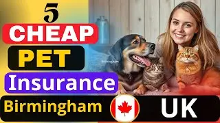 Top 5 Cheapest Pet Insurance in Birmingham UK 2025 | Best Budget Plans for Dogs & Cats