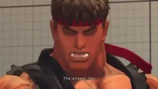 seigejet (Sakura) vs NoEbil (Ryu) ENDLESS MATCH