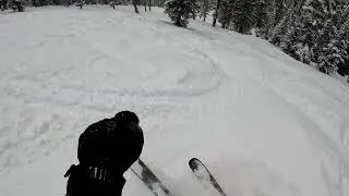 Ambush Glades (Black) - Big Sky, Montana