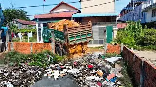 First Starting A New Project!! Filling Land Delete Garbage By Bulldozer with 5ton Trucks