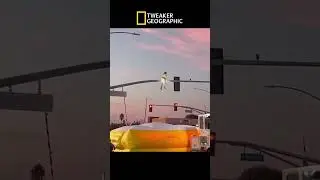 Tweaker Geographic Episode 2: it&rsquo;s a bird&hellip; it&rsquo;s a plane&hellip; #funny #tweaker #tweakers #viral