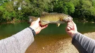 Smallmouth HEAVEN?!