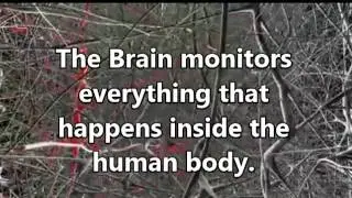 The NeuroVersity
