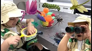 Fun Bug Hunt Pretend Play for kids Learn Insect Facts catching bugs Spiders Family Fun Video