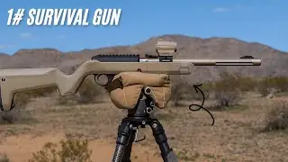 5 Best Survival Rifles For The Apocalypse