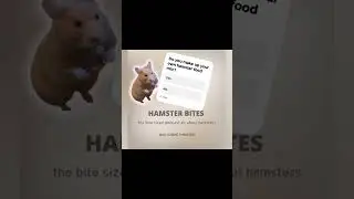 Do you make up your own hamster food mix?