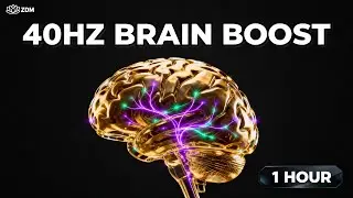 40 Hz Guided Flow for ADHD Relief | Gamma Focus Meditation for Energy & Clarity