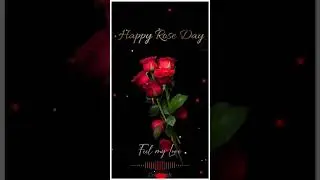 Happy Rose Day