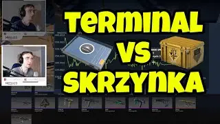 czy TERMINALE są OPŁACALNE? 🤔 - analiza i podsumowanie openingu 50x TERMINALI