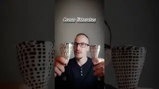 Conus litteratus Литературный конус Письменный конус Lettered cone 📜