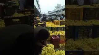 Kadiyapulanka Poola Market 2023 | amalapuram vlogs