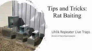 Uhlik Repeater Live Traps - Tips & Tricks - Rat Baiting