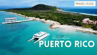 PUERTO RICO - Tropical winter getaway !