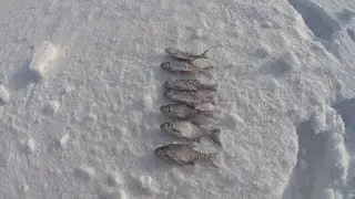 ИСЕТЬ ГОРОД 06 02 23