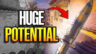The 