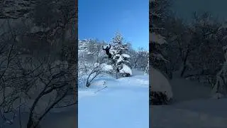 Grosse vid&eacute;o powday demain aprem les gars !! abonne toi #ski #powday