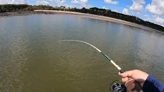 Is this the best bait for Flounder? Fishing a brand new area for Flounder, and we found them!