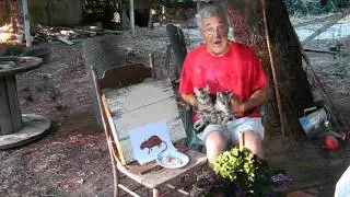 Barn Cat Training Video