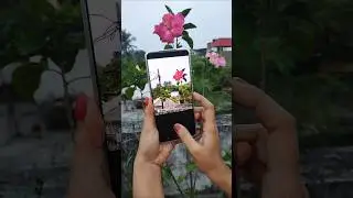 Realme p4 pro 5g camera AI eareser #realme #smartphone#tranding #shorts
