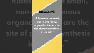 🔥📚 Ribosome in ONE LINE &mdash; Short & Easy Definition | Most Important for Biology Exams 🧬