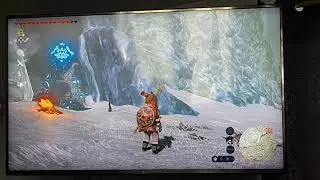 goma asaagh shrine korok seed
