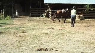MOV01661