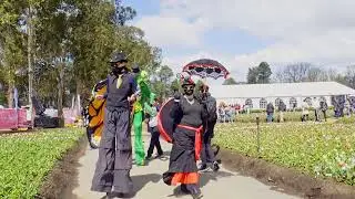 2022 Floriade highlights