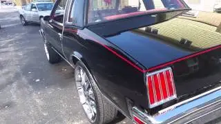 T's 79gp