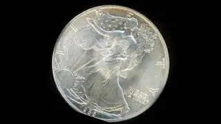 Silver Eagle Walking Liberty one ounce bullion coins