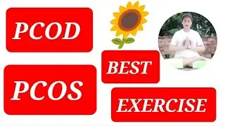 yoga exercises for your irregular period, PCOD  PCOS & Pelvic Stretches #yoga #health # flexibility 