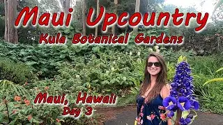 Kula Botanical Gardens - Maui, Hawaii Vacation Day 3