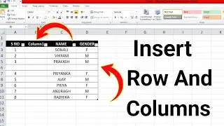 How to insert rows and columns in excel