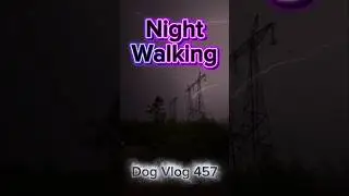 Virtual Dog Walk with Music: Hypnotic Night in a Beautiful Night View Village #dogwalkinglife