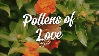 Pollens of love | The poetry of transformation