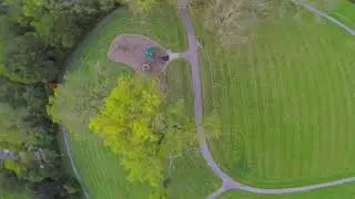 Me and the tree threw Hands!