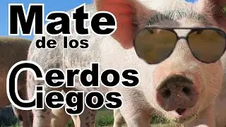 Mates t&iacute;picos para PRINCIPIANTES en AJEDREZ... Mate de los cerdos ciegos... 