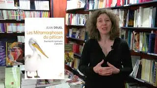 La chronique du libraire : Mes métamorphoses du pélican de Jean Druel (Cerf)
