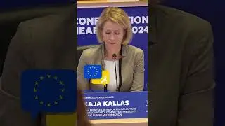 EU unity in a 'world on fire' Kallas makes top diplomat pitch