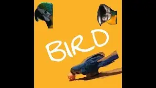 Jewel The Funny Macaw