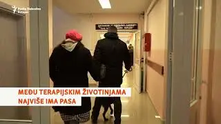 Dan sa Rodžerom, terapijskim psom Klinike za psihijatriju u Skoplju