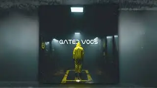 Frizform - Gated Vocs (Оfficial Audio)