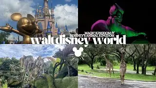 Walt Disney World | Magic Kingdom & Disney's Animal Kingdom | September 2024 | The Millie Mouse