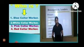 Who is Blue Collar Worker, White Collar Worker , Pink , and Red Collar Worker.