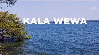 Kala Wewa | Anuradhapura #kalawewa #travelinza #anuradhapura 👑🌊🇱🇰