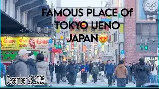 Ueno Tokyo Drive Tour #japan #travel #popular