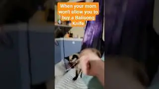 Budget Balisong Knife 😆 #cat #balisong #butterflyknife #funny