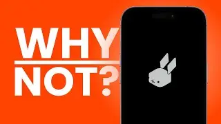 Why Rabbit Didn't Give You an App